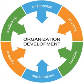 Organization Development Strategy